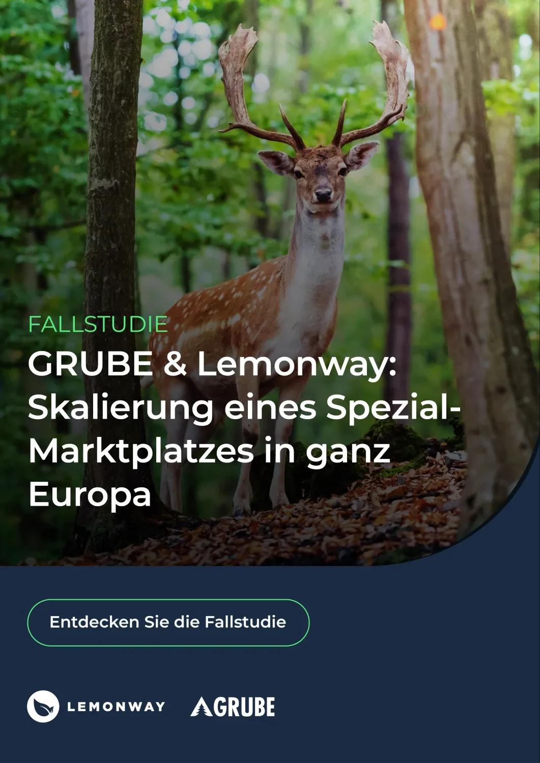 Grube Case Study: Page 1