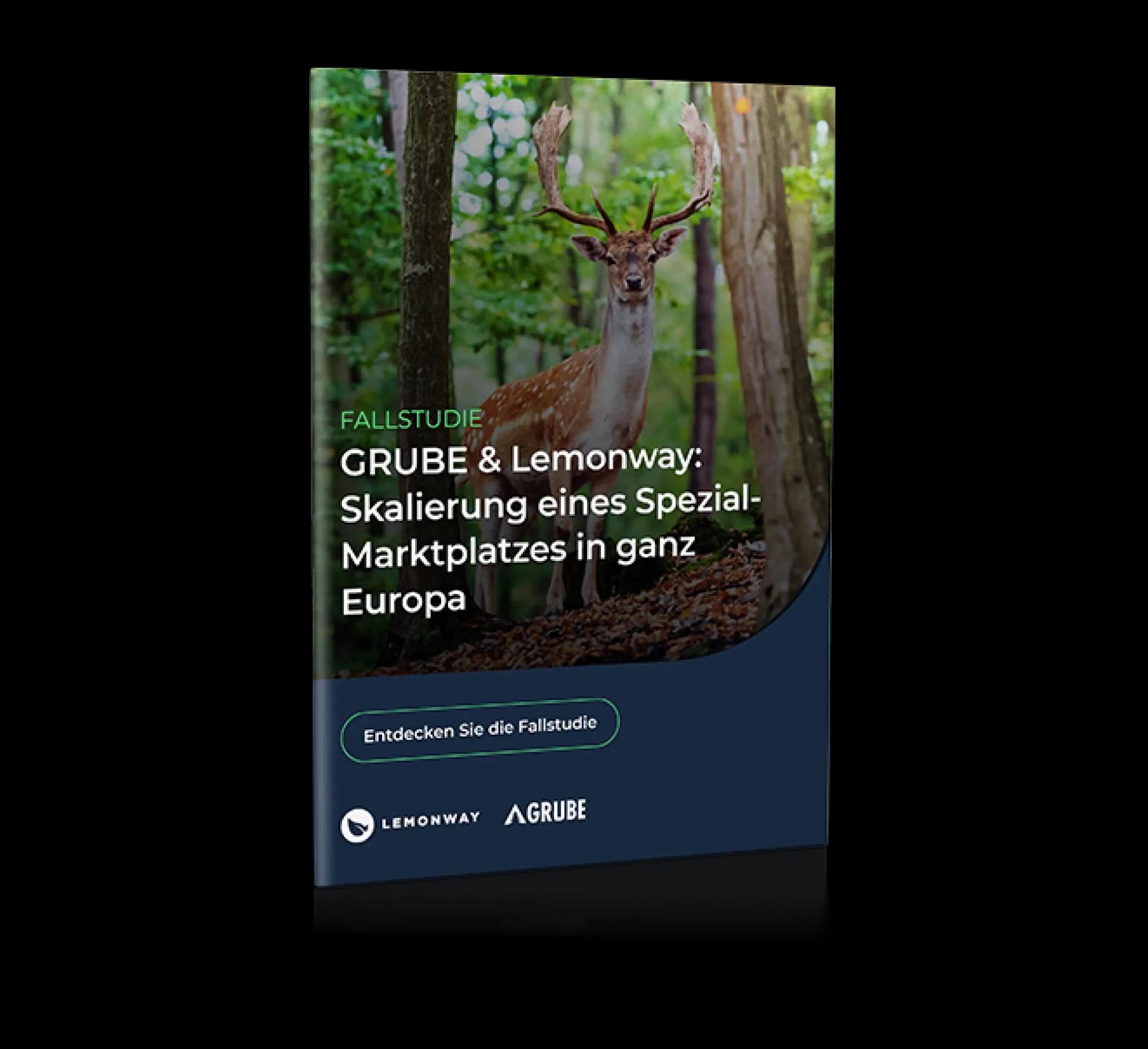 Mockup Cas Client Grube